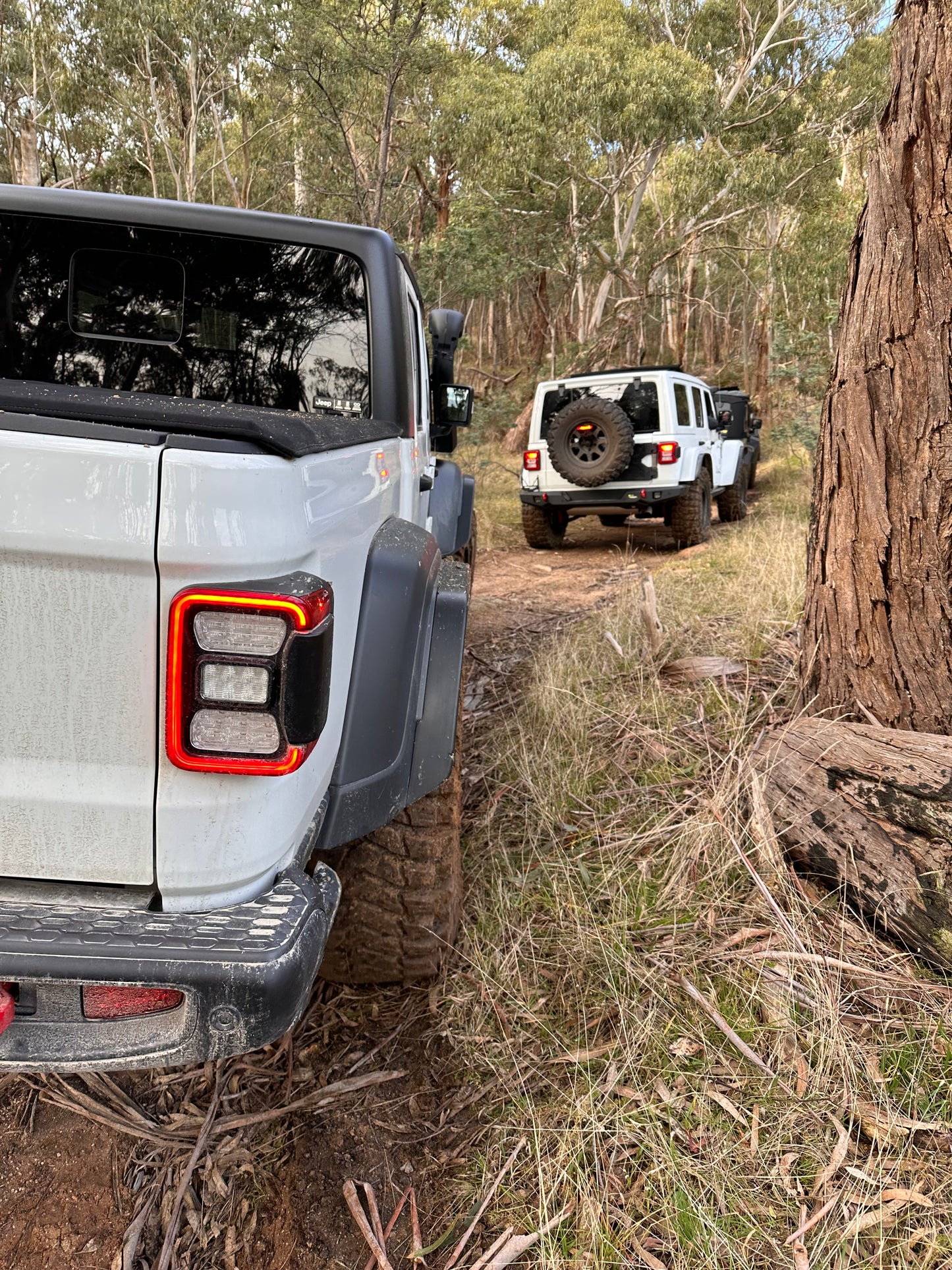 DBOR - 2.5" Fender Extensions For JT Gladiator with Max Tow fenders or (AUS/EU SPEC)