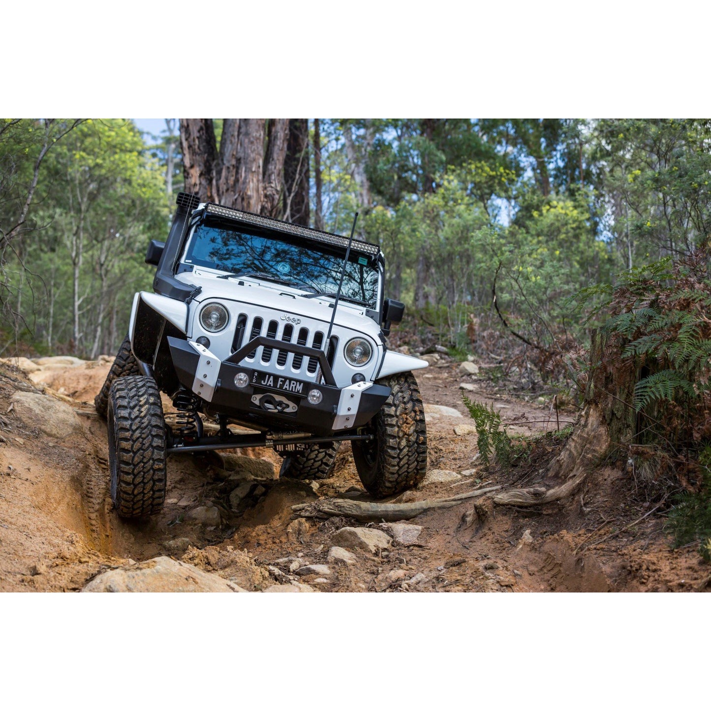 DBOR JK 3" or 4.5" Wild Kit